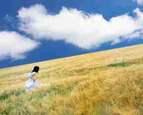 vue3教​程﻿下​载﻿